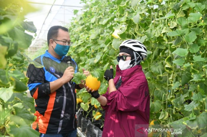 Matkul agribisnis ipb